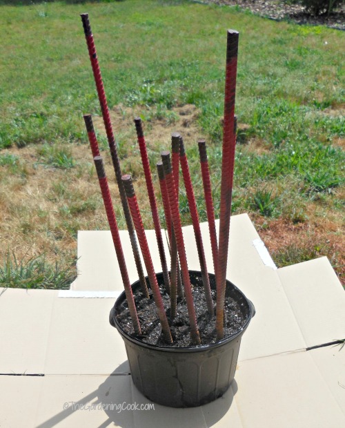 Insert the rebar into the soil