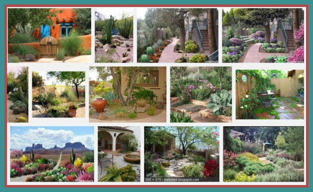 South west Garden inspiration