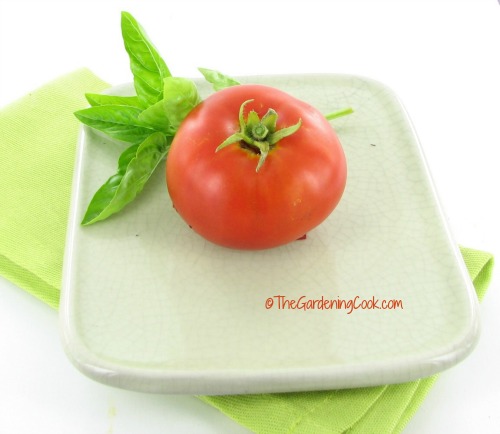 Tomato and fresh basil