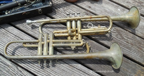 trumpets