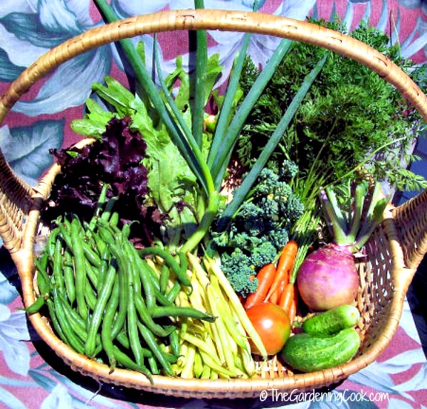 30 Tips for a Great Vegetable Garden Harvest Plus 6 Garden Recipes