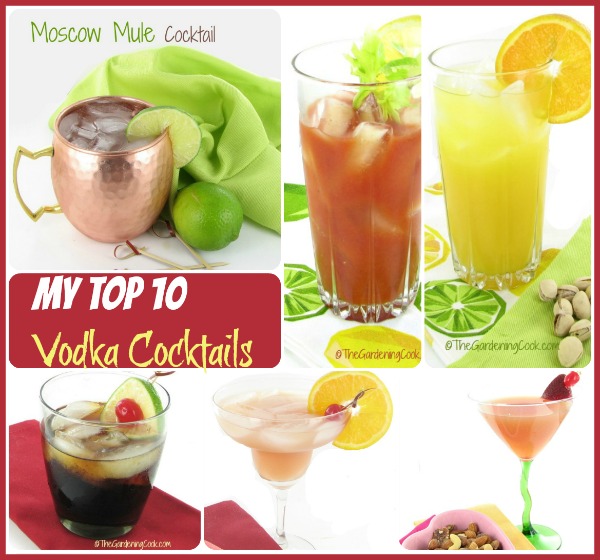 My 10+ Favorite Vodka Drinks