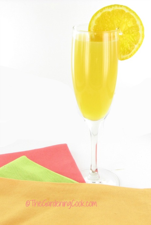 Vodka Mimosa cocktail
