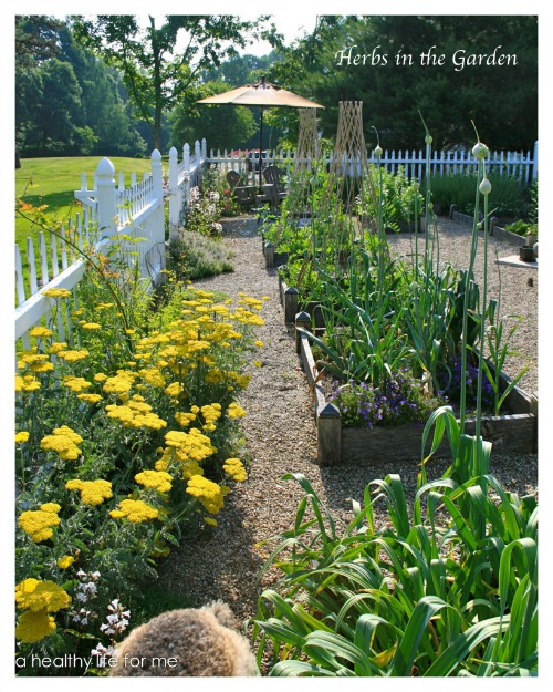 Raised Garden Beds are esthetically pleasing