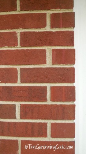 Color of brick.