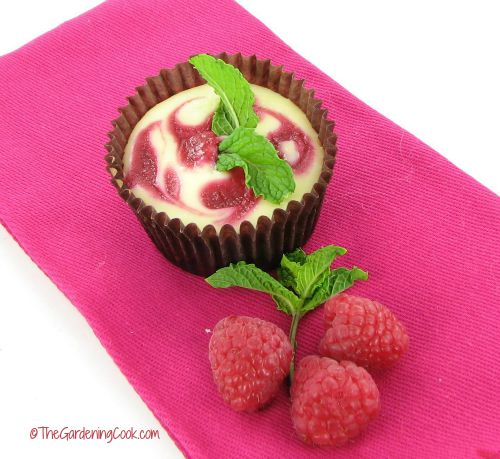 Miniature raspberry swirled cheesecake