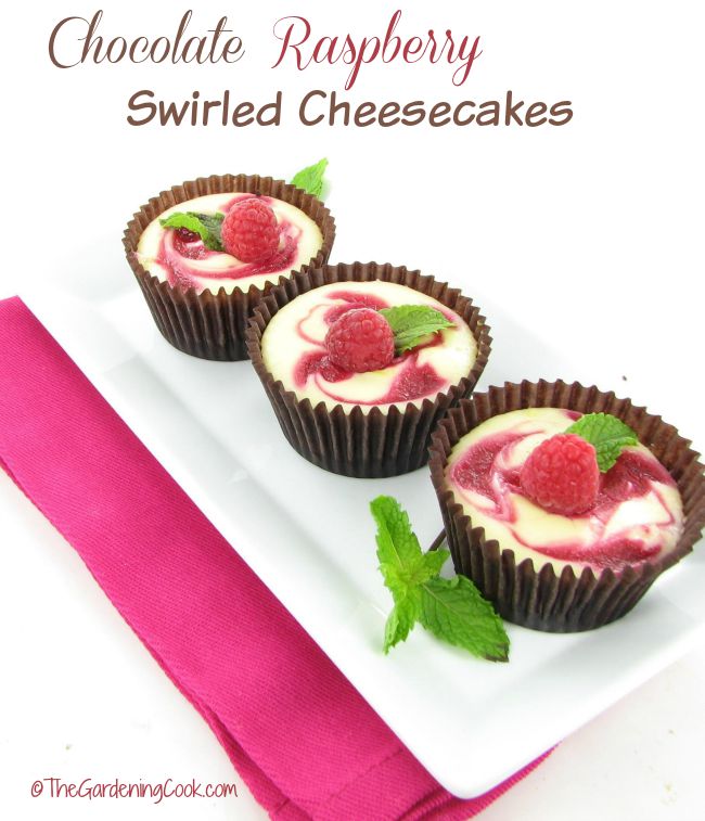 These chocolate raspberry swirled mini cheesecakes are the perfect ending to any special occasion.