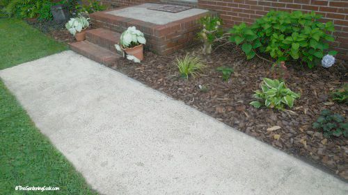 walkway after
