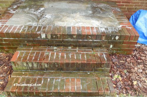 Cleaning steps in front of house.