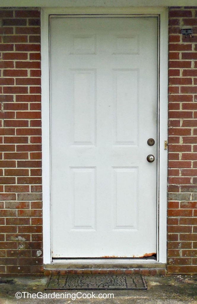 Front Door before