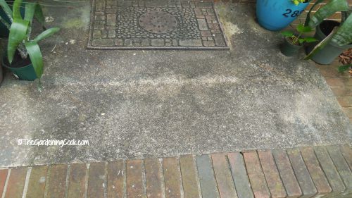 Our entry step before