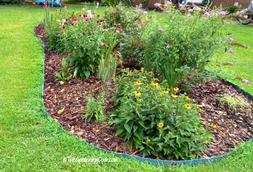 Front Garden bed