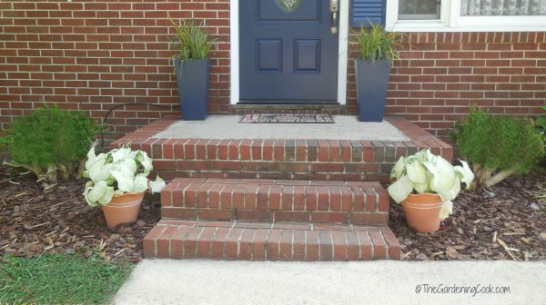 Front Step after