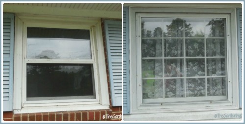baby blue shutters