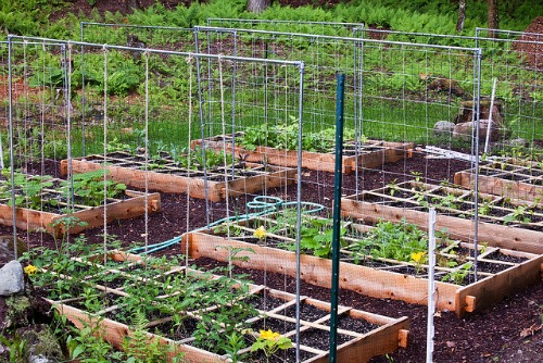 trellises are easy to add to raised beds.