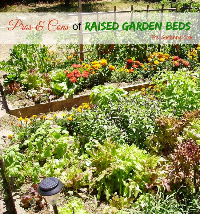 Raised Garden Beds are great for smaller garden spaces. See the pros and cons of them in my latest blog post.
