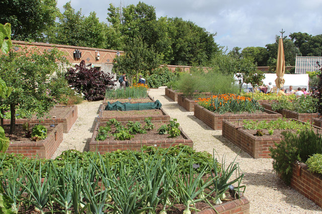 Pros and Cons of Gardening with Raised Garden Beds