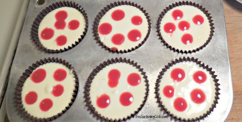 dot the raspberry swirl