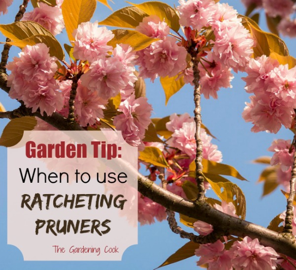 When to use Ratcheting Pruners