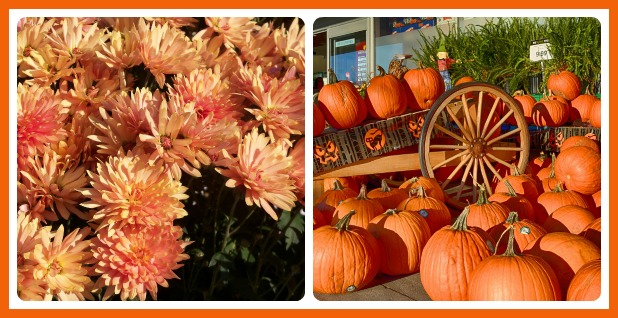 change your entry with the seasons