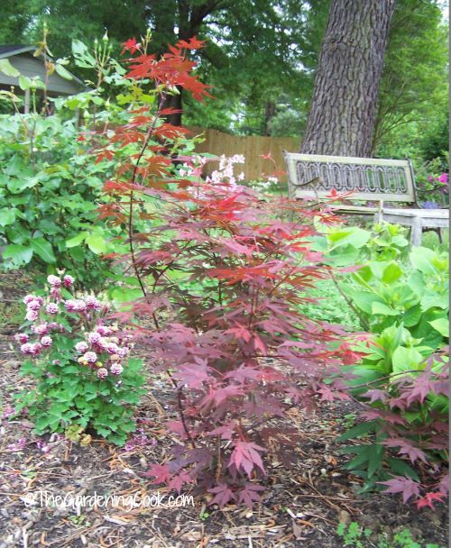 Seasting areas add charm to a cottage garden
