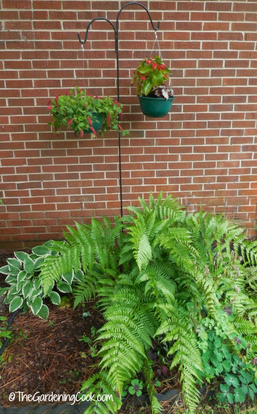 Shepherd's hooks add height to a blank brick wall.