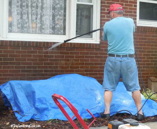 Man power washing a house with plants covered by a blue tarp.