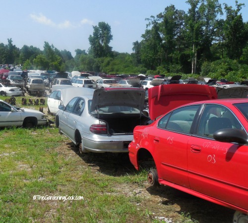 salvage yard
