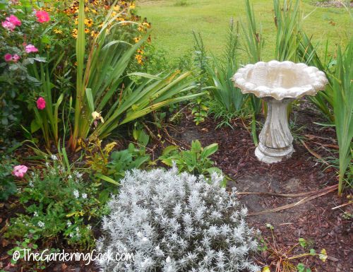 The bird bath after a spray with the power washer.