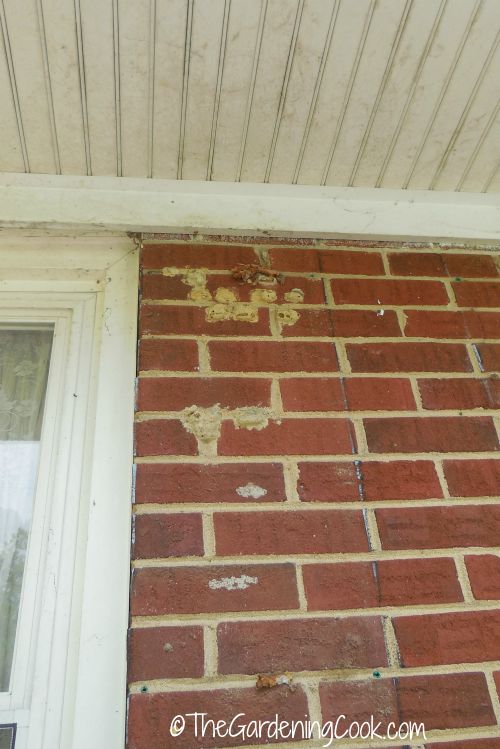 Hornets nests and paint before
