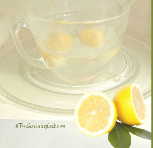 clean microwave