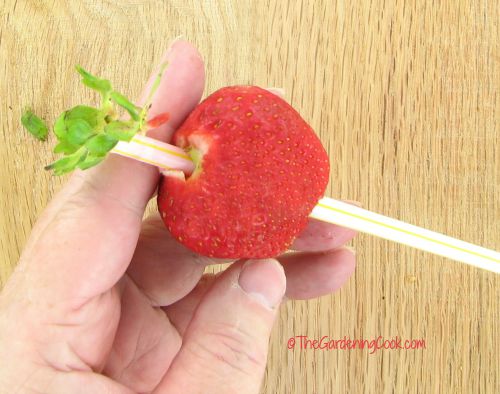 off comes the stem
