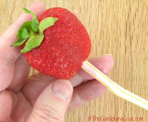 hull strawberries with a straw
