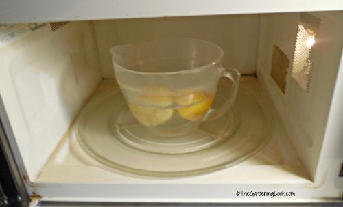 Lemon water in the microwave