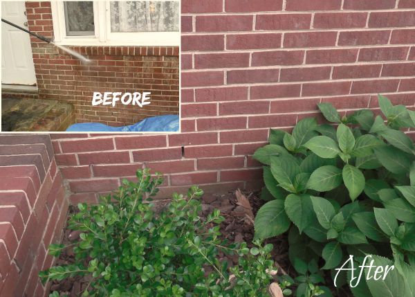 Before and After Power Washing Photos