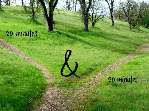 2 20 minute walks is easier than a 40 minute walk if you have arthritis
