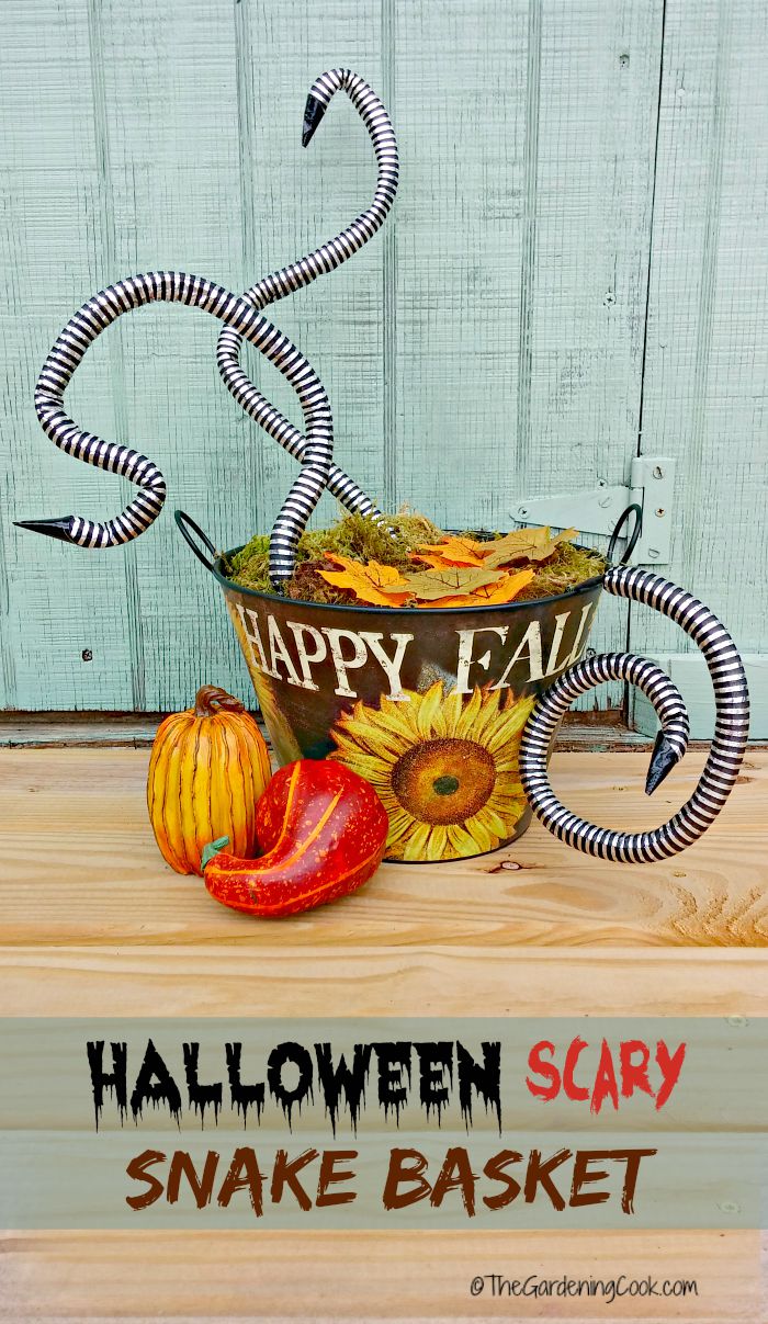 This Scary Halloween Snake Basket is a great addition to the seasonal decor on my front entry. It was very easy to make and delights my neighborhood kids.