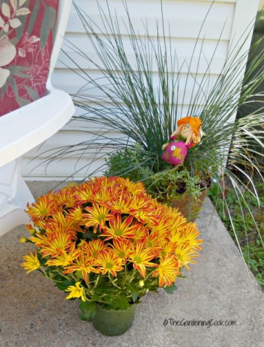 planters