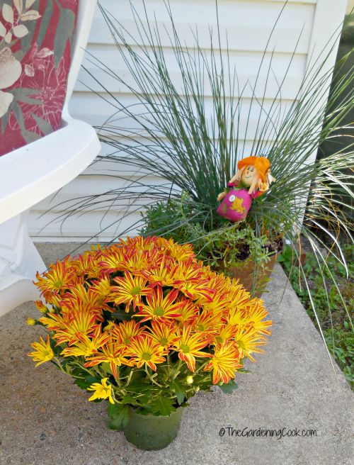 planters