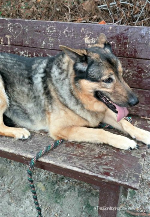 Ashleigh on a bench