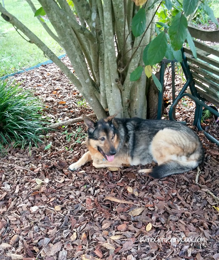 Ashleigh in the shade.