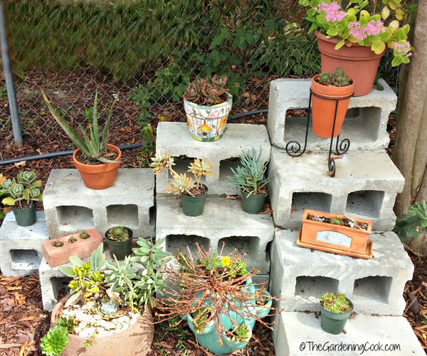 Group plants by their needs