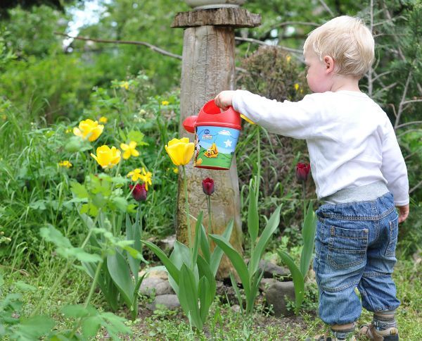 10 Tips to Make Gardening Easier