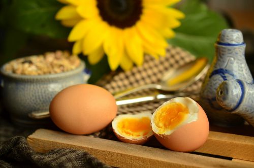 healthy food is important for weight loss