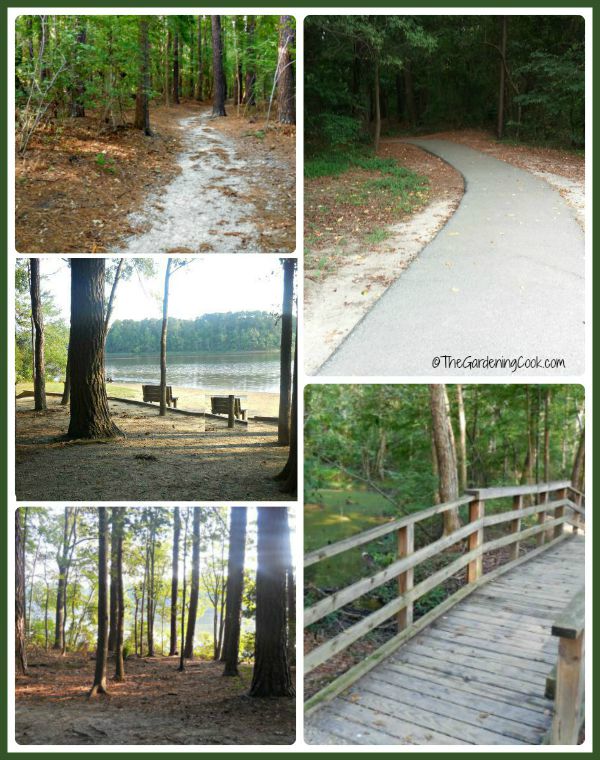 Lake Benson park