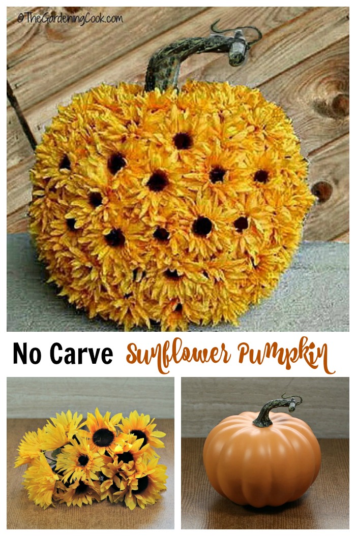 Pumpkin, sunflower collage with words reading "no carve sunflower punpkin."
