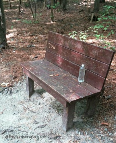 park bench