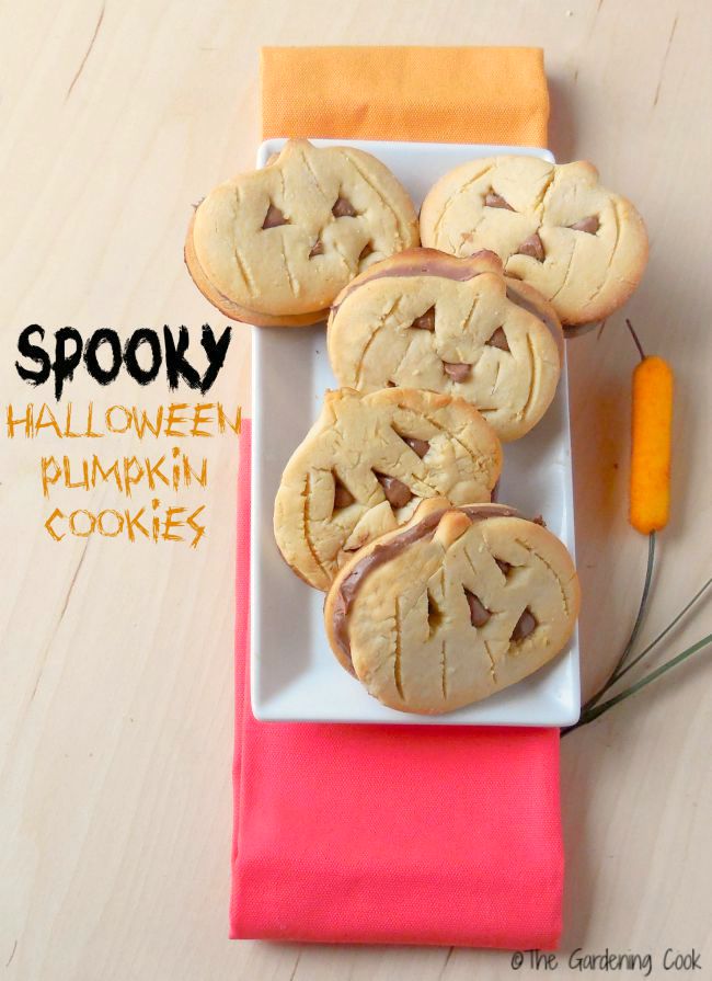 Pumpkin cookies on a white plate with words reading "spooky Halloween pumpkin cookies."