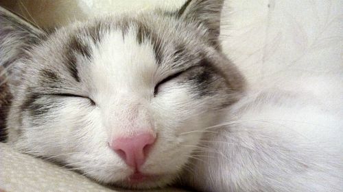 sleep better with you ditch the junk food