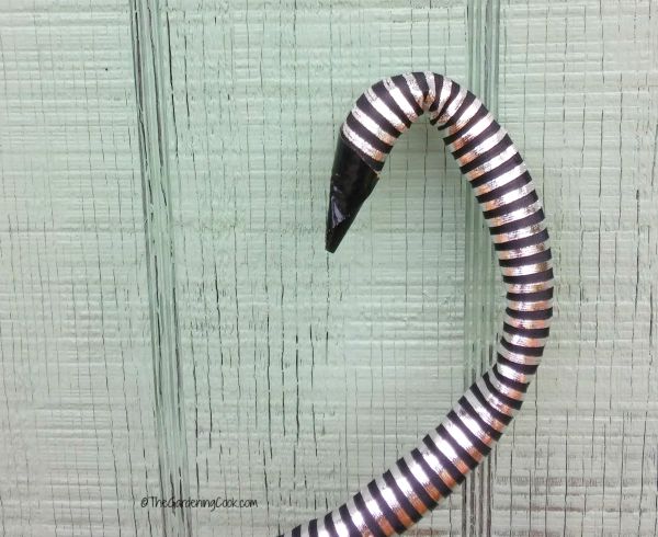 snake head